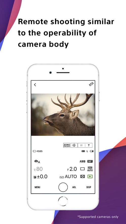 Creators App