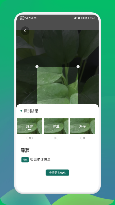 小园丁下载安装