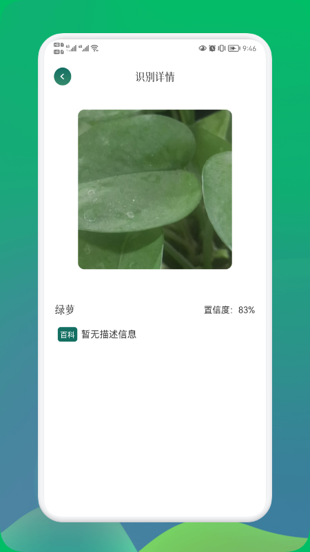 小园丁下载安装