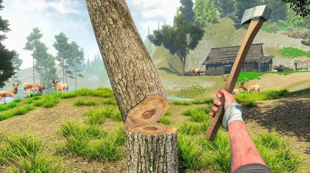 野外海岛生存(Woodcraft Survival Island)