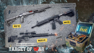 枪与射击目标战Gun and Shooting
