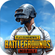 pubg2.8版本(BETA PUBG MOBILE)