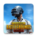 pubg绝地求生国际服2.84版本（BETA PUBG MOBILE）