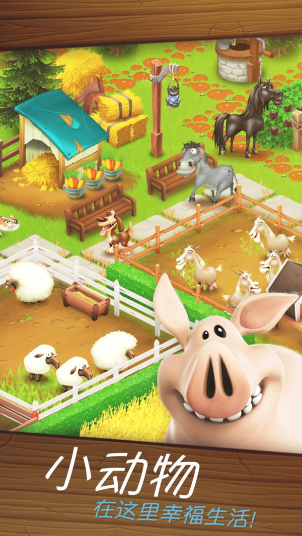 Hay Day卡通农场谷歌版下载