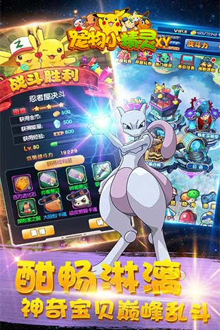 宠物小精灵XY无限钻石版