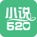 小说520