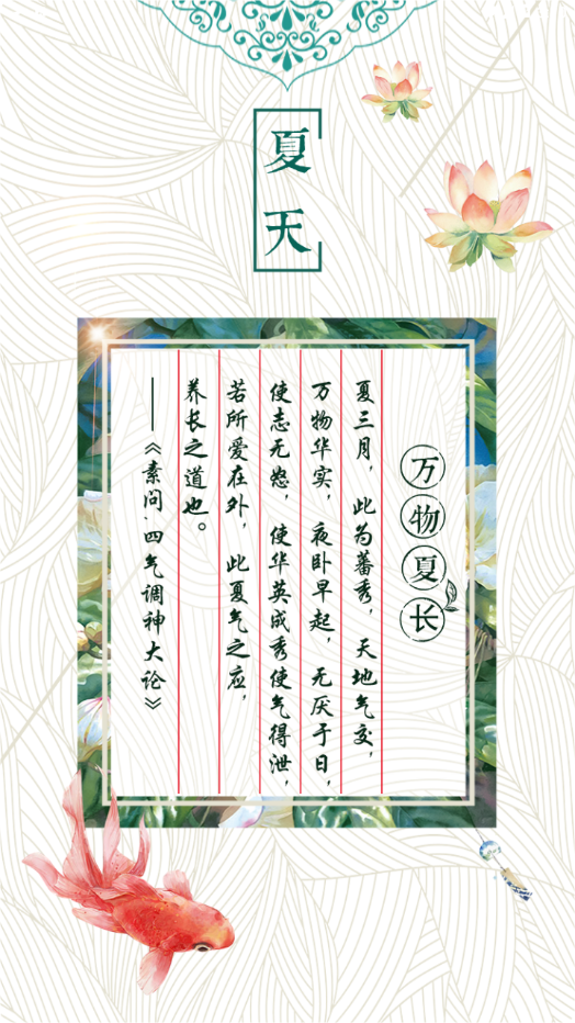 经道养生app