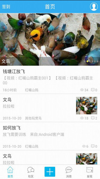 爱鹦鹉论坛手机客户端下载