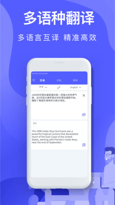 中译英翻译在线