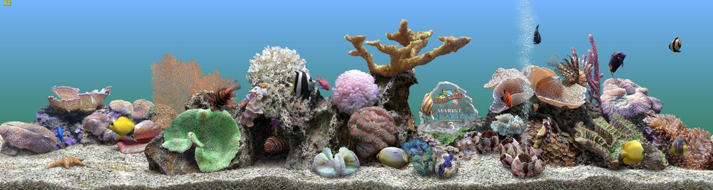 MarineAquarium3