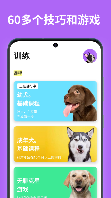 EveryDoggy(狗狗训练)