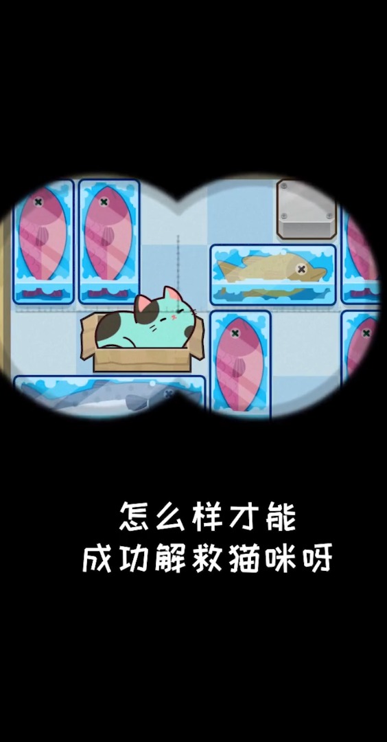 推推猫游戏