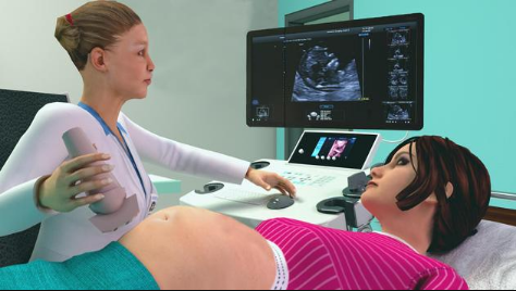 Pregnant Mom(孕妇模拟器)