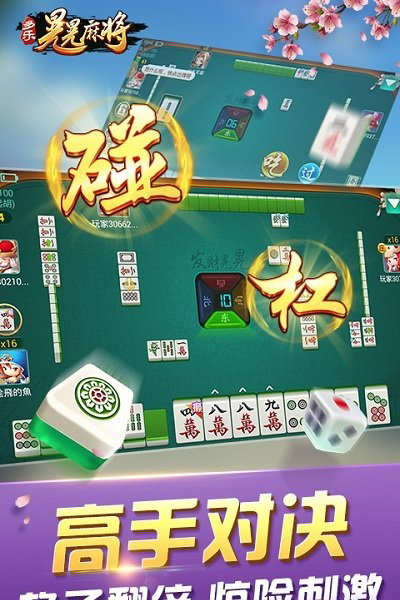 多乐晃晃麻将游戏
