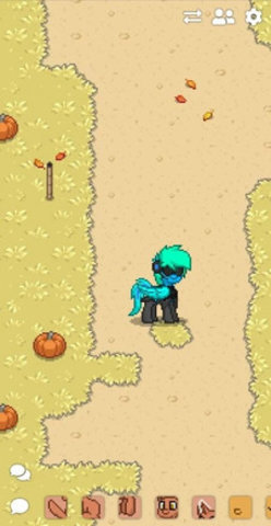 pony town中文版