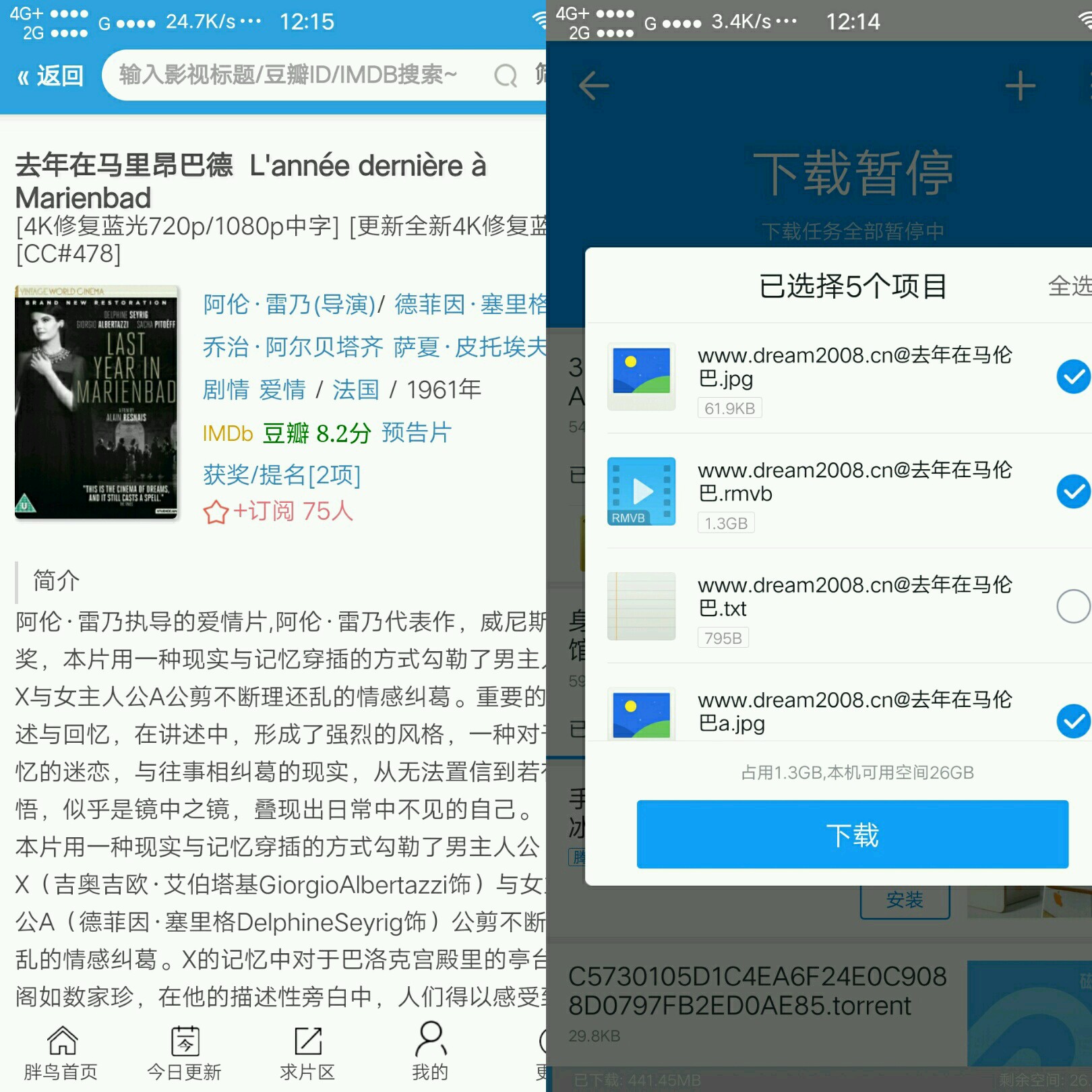 胖鸟电影