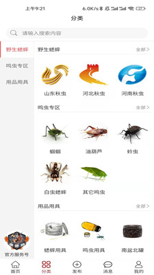 中蟋网交易市场app