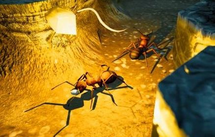 Sand Ant Farm(蚂蚁农场)
