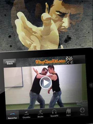 Wing Chun a咏春功夫武术