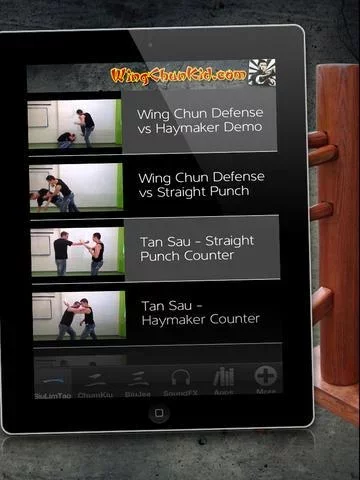 Wing Chun a咏春功夫武术