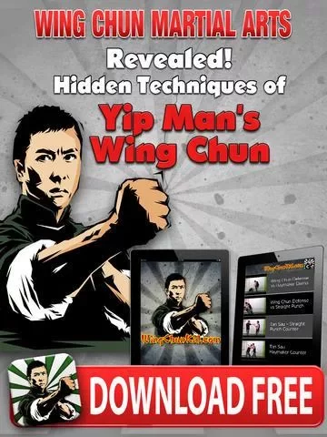 Wing Chun a咏春功夫武术