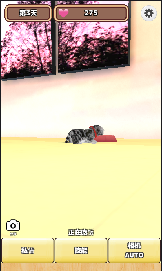 3D猫咪养成手游