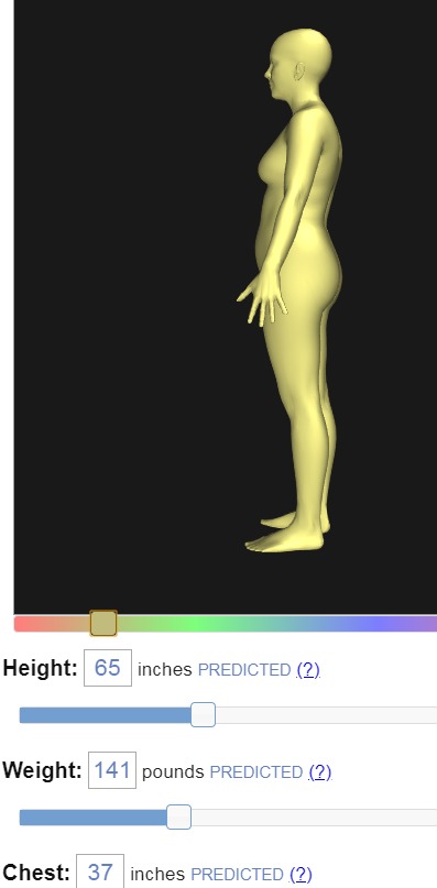 bodyvisualizer