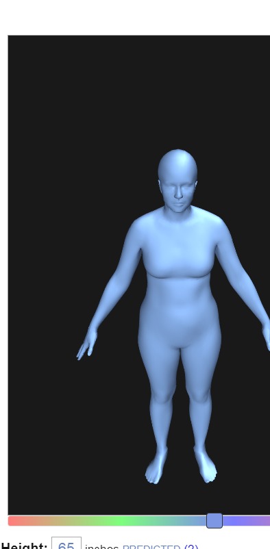 bodyvisualizer