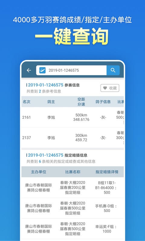 信鸽足环号网查询app