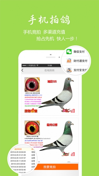 中国信鸽信息网各地公棚查询软件