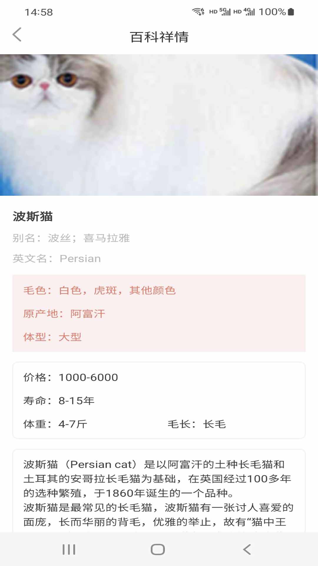 猫先生app