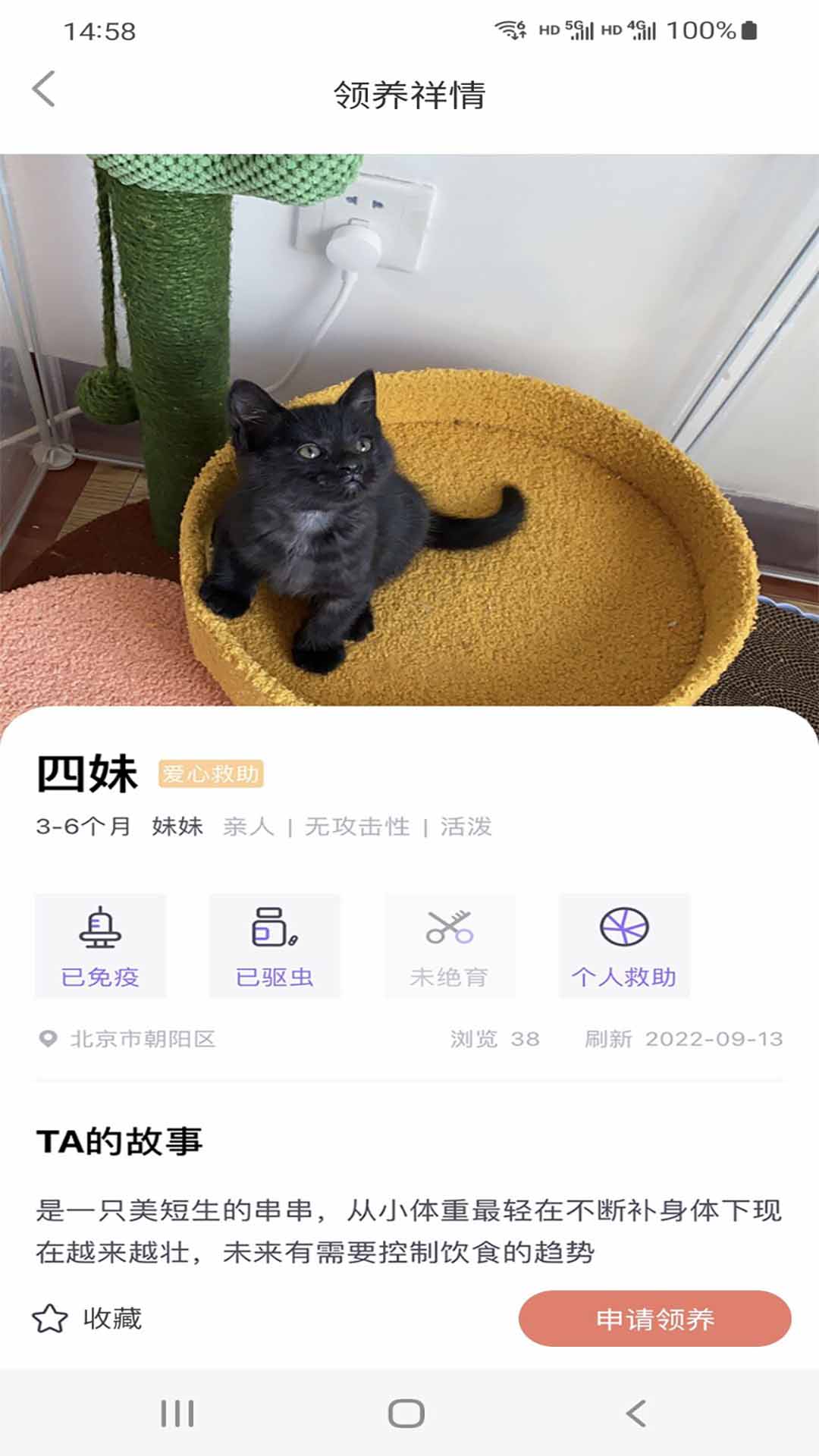 猫先生app