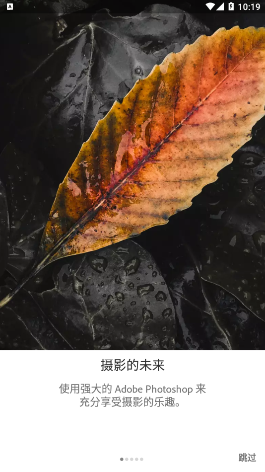 lightroom手机修图软件免费版下载