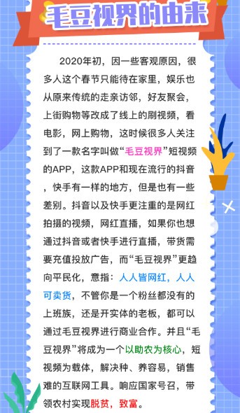 毛豆视界短视频