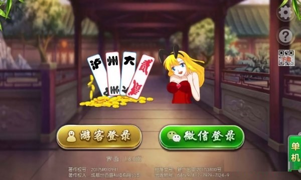 泸州大贰单机版下载