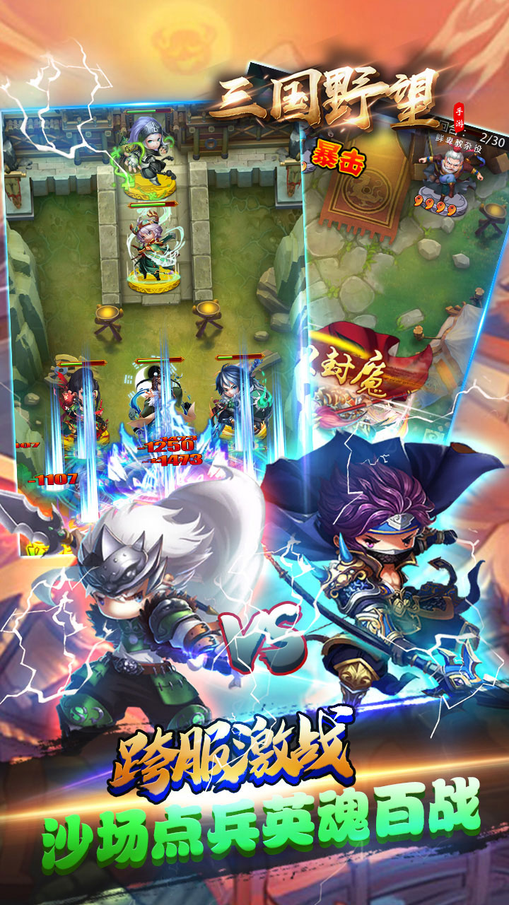 三国野望BT版