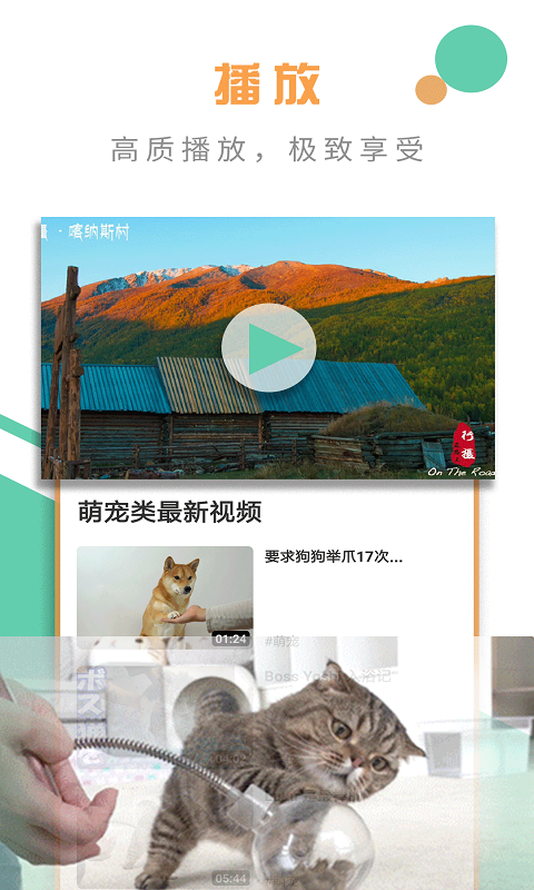 宅宅视频