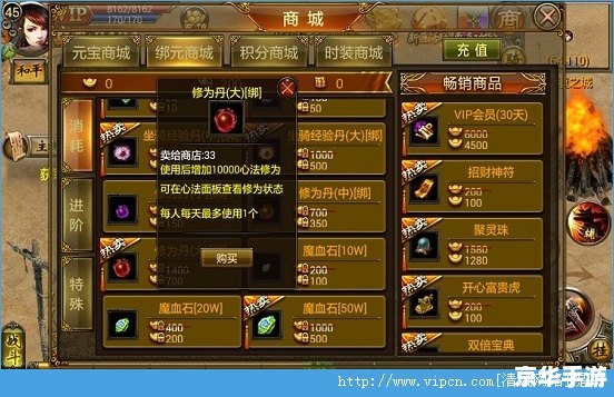 天书奇谈修真加点：提升修为的关键策略
