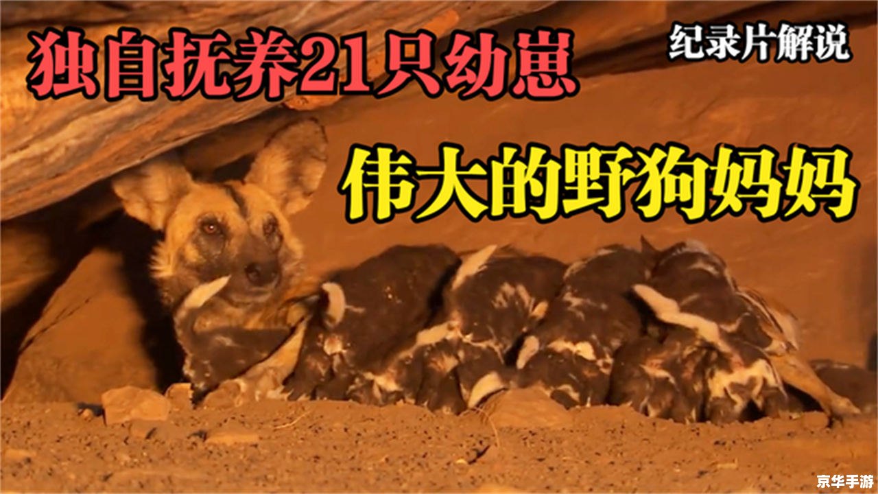 狮子出装：打造无敌战狮