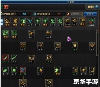 DNF阿修罗PK加点方案 DNF阿修罗PK加点方案
