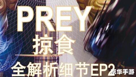 prey攻略,掠食攻略：全面解析与游戏技巧