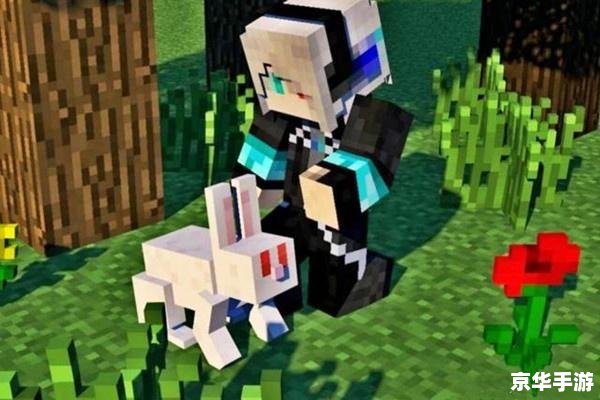 【我的世界陷阱大全】 【我的世界陷阱大全】
