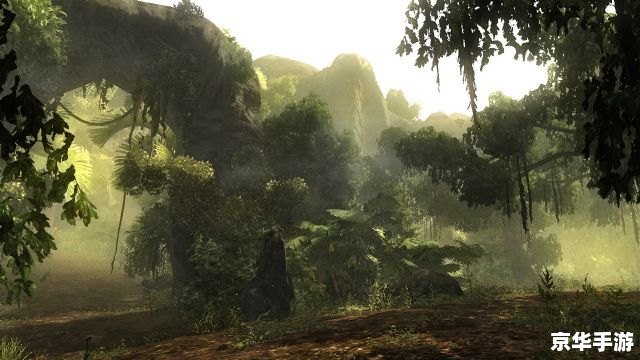 risen 攻略,崛起：全面攻略