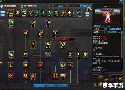 玉虚加点:提升你的游戏实力 玉虚加点:提升你的游戏实力