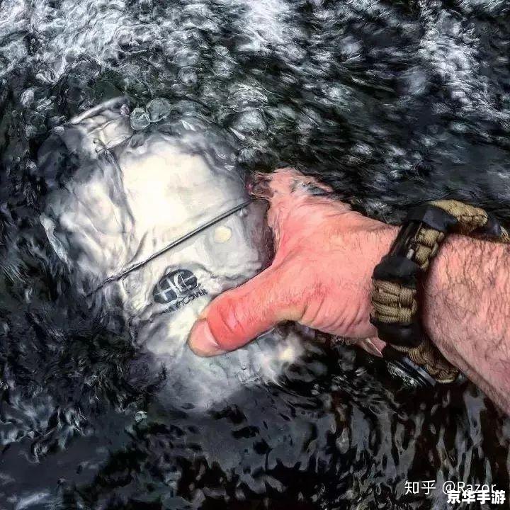 末日出装:生存与毁灭的抉择 末日出装:生存与毁灭的抉择