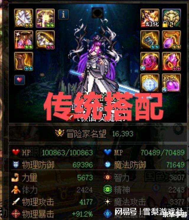 DNF资料袋：全面了解与分析