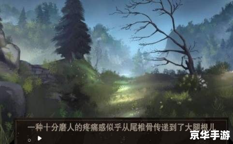 渡劫剧情攻略：迈向仙界之巅