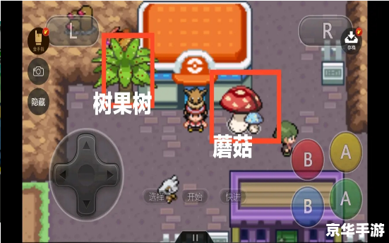 口袋妖怪黑白 金手指,口袋妖怪黑白金手指：探索神奇世界的无限可能