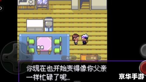 口袋妖怪黑二周目:挑战与冒险的升级版 口袋妖怪黑二周目:挑战与冒险的升级版