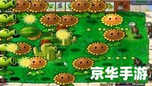 植物大战僵尸中文补丁:让游戏更加精彩 植物大战僵尸中文补丁:让游戏更加精彩